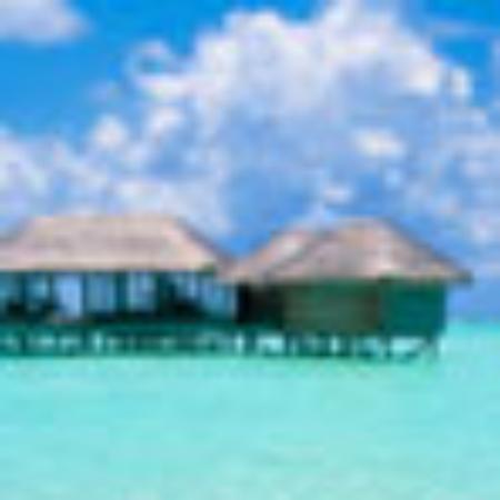 Hukam Cafe And Lounge